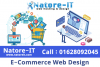 E-commerce web Design